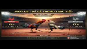 Hướng dẫn chơi Đá gà Thomo trực tiếp 24KClub