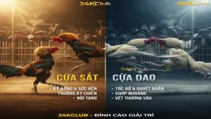 Đá gà cựa sắt và đá gà cựa dao: Sự khác biệt 24KClub